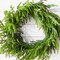 24” Just Cut Norfolk Pine Wreath Fresh & Lush Holiday Decoration